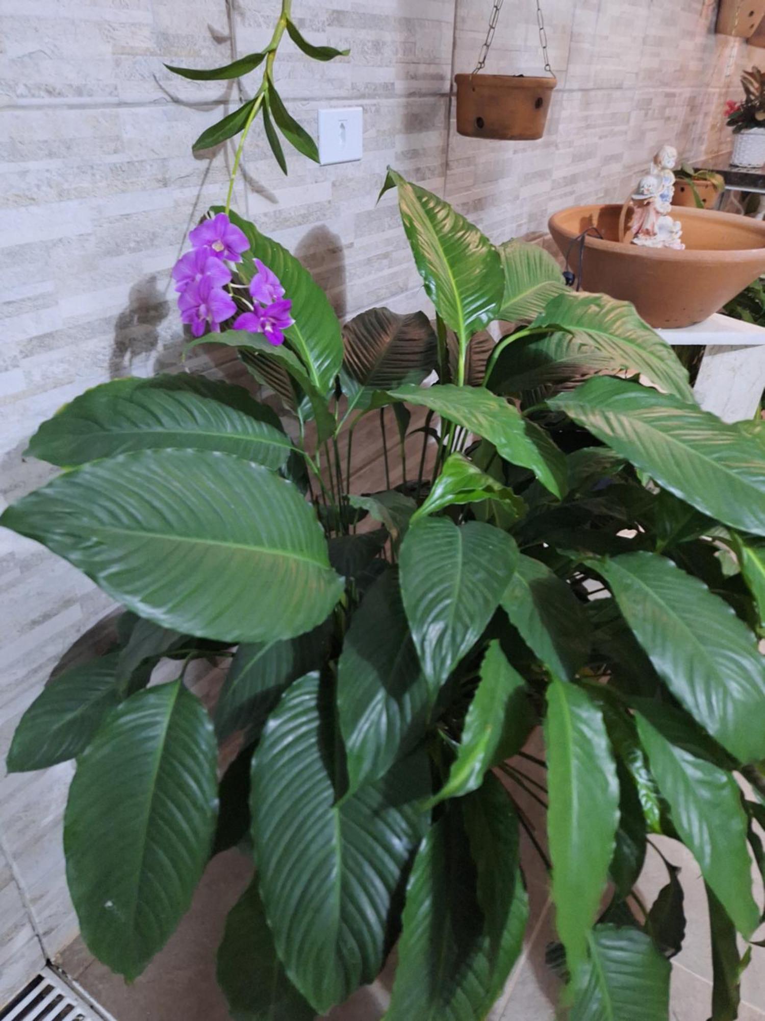 Cantinho Da Paz Niterói Kamer foto